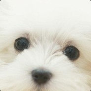 暖阳下我迎芬芳