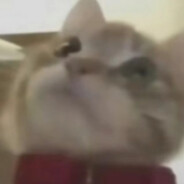 重生之我是科比牢大