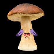Rabbit-Mushroom