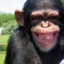 changito