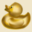 DUCKYGOLD