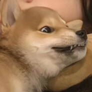 过硬的枪法哈哈