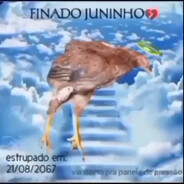 Fin4doJuninho avatar