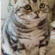 天使也会耍流氓