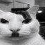 Adolf Kitler
