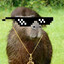 CapivaraTraficante