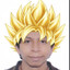 VIVIDOR SUPER SAYAJIN