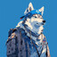 WildBlossomHusky