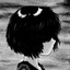 RunLee ✿'s avatar