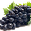 Черный виноград