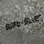 Swift - Silver 2