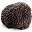 Truffelion