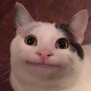 Cat_beluga (˃ᆺ˂)