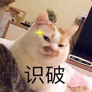 猫鱼