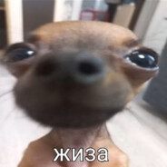 чебурек беляшев