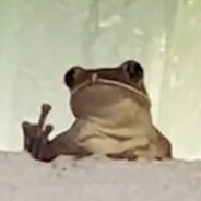 Mister Sbloube