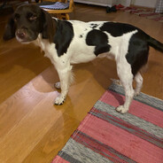 Saltade chips/@bandit