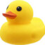 Ducky