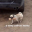Есть чё?