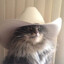 yeet haw™