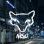NASKI