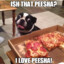 I luv peesha