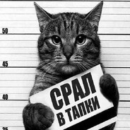 срал в тапки Steam avatar