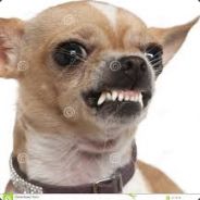 \\Malle´s GamePlay//