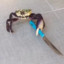Attack Crab