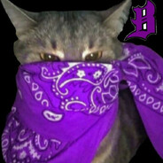 cy6nic avatar