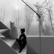 дашка в потоке