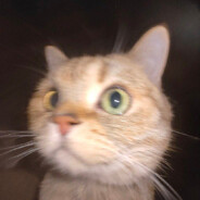 мишаня арбузник