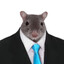 rat