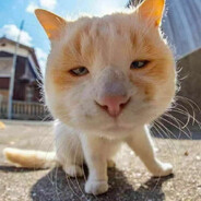 怎么，你不服气