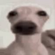 xqwtpk