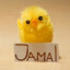 Jamal