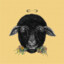 Black_sheep