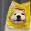 走光