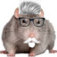 Kfc_rat