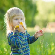 香蕉怪的大香蕉