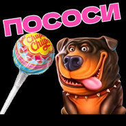 Бонуска в собаках