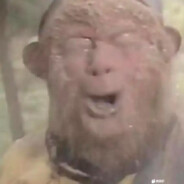 花果山水帘洞突击吗楼