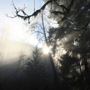 I've been returning by death