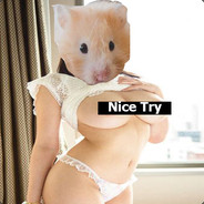 Hamster