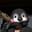 Noah_