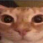 0hWither