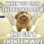 The Phantom Wipe