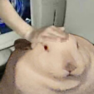 radta