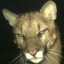 cougar gaming