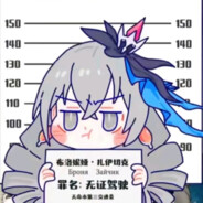 是扎伊切克不是伊拉克